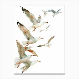 Seagulls In Flight Canvas Print