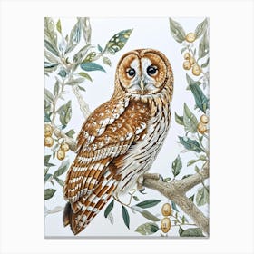 Tawny Owl Marker Drawing 4 Canvas Print