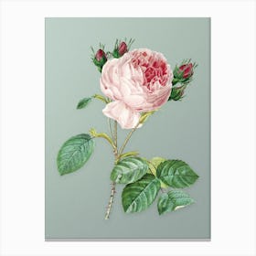 Vintage Centifolia Roses Botanical Art on Mint Green n.0085 Canvas Print