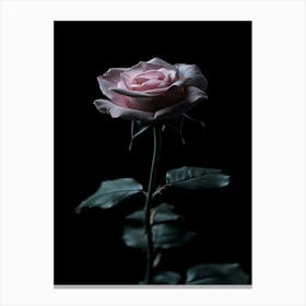 Rose On A Black Background 36 Canvas Print