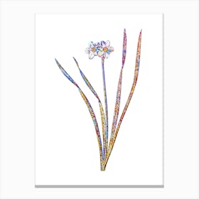 Stained Glass Primrose Peerless Mosaic Botanical Illustration on White n.0141 Canvas Print