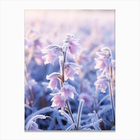 Frosty Botanical Lobelia 1 Canvas Print