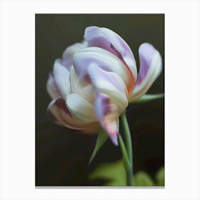 Modern Tulip Canvas Print