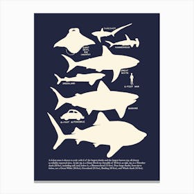 Retro Style Shark Canvas Print