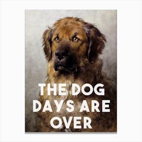 The Dog Days Are Over Canvas Print