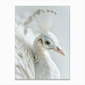 Peacock 1 Canvas Print