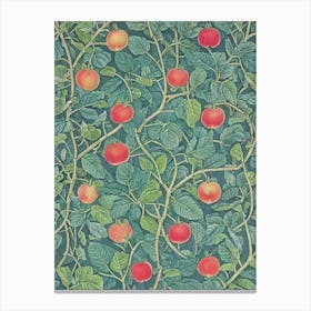 Rose Apple Vintage Botanical Fruit Canvas Print