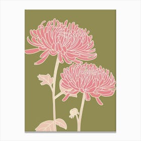 Pink & Green Chrysanthemum 1 Canvas Print
