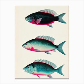 Krill Vintage Poster Canvas Print