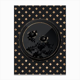 Shadowy Vintage Variegated Burnet Rose Botanical in Black and Gold n.0156 Canvas Print