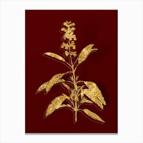 Vintage Sage Plant Botanical in Gold on Red n.0575 Canvas Print