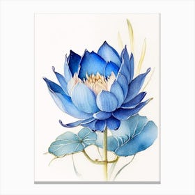 Blue Lotus Watercolour Ink Pencil 1 Canvas Print