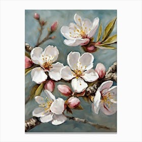 Blossoming Cherry Blossoms Canvas Print