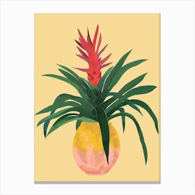Bromeliad Plant Minimalist Illustration 5 Canvas Print