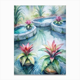 7 Bromeliads With Water Pools At Their Center Canvas Print