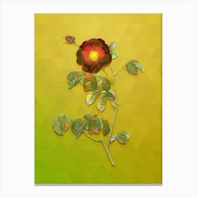 Vintage Rose Botanical Art on Empire Yellow n.0369 Canvas Print