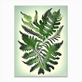 Upside Down Fern 1 Vintage Botanical Poster Canvas Print