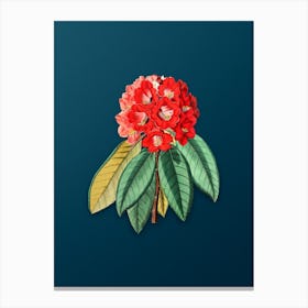 Vintage Rhododendron Rollissonii Flower Botanical Art on Teal Blue n.0180 Canvas Print