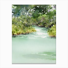 Everglades National Park United States Of America Water Colour Poster Canvas Print