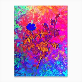 White Downy Rose Botanical in Acid Neon Pink Green and Blue Canvas Print