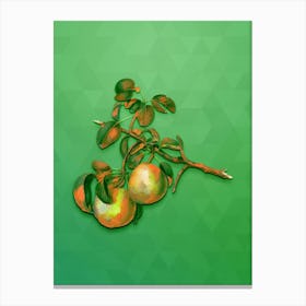 Vintage Pear Botanical Art on Classic Green n.0817 Canvas Print