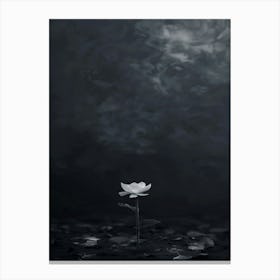 Lotus Flower 57 Canvas Print