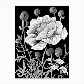 Matilija Poppy Wildflower Linocut 2 Canvas Print