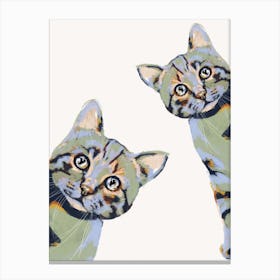 Curious Cats Canvas Print
