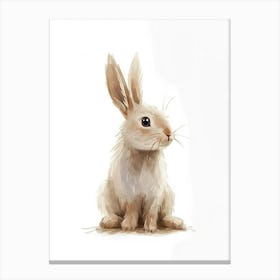 Polish Rabbit Kids Illustration 4 Canvas Print