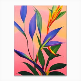 Bird Of Paradise 2 Colourful Illustration Plant Canvas Print