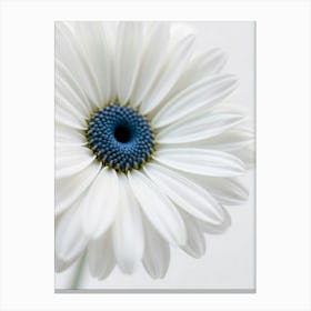 White Daisy Canvas Print