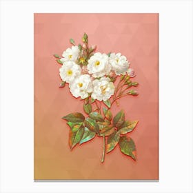Vintage Noisette Roses Botanical Art on Peach Pink n.1810 Canvas Print