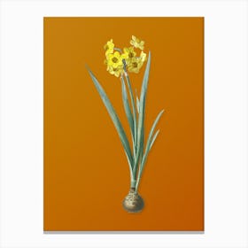 Vintage Daffodil Botanical on Sunset Orange 1 Canvas Print