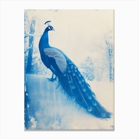 Cyanotype Inspired Peacock Snow Scene 2 Canvas Print