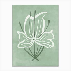 Lily Of The Valley 1 Canvas Print