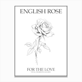 English Rose Black And White Line Drawing 40 Poster Canvas Print