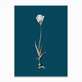 Vintage Chincherinchee Black and White Gold Leaf Floral Art on Teal Blue n.0767 Canvas Print