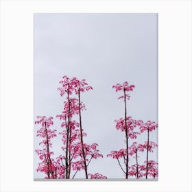 Pink Trees Against A Cloudy Sky Canvas Print