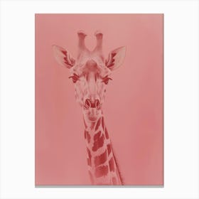 Giraffe 116 Canvas Print