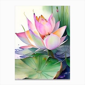 Amur Lotus Watercolour 2 Canvas Print