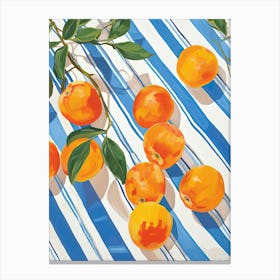 Apricots Fruit Summer Illustration 8 Canvas Print
