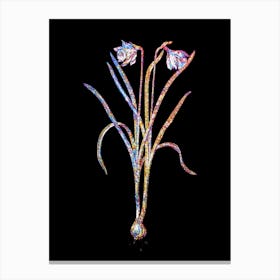 Stained Glass Narcissus Candidissimus Mosaic Botanical Illustration on Black n.0184 Canvas Print