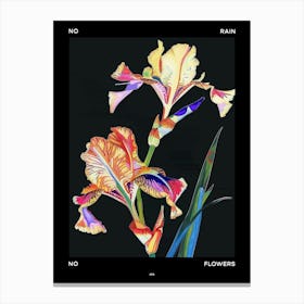 No Rain No Flowers Poster Iris 3 Canvas Print