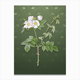 Vintage White Flowered Rose Botanical on Lunar Green Pattern n.1017 Canvas Print