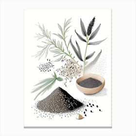 Black Sesame Spices And Herbs Pencil Illustration 3 Canvas Print