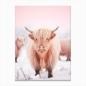 Highland Cow In The Snow Realistic Pink Photography 1 Canvas Print