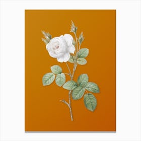 Vintage White Misty Rose Botanical on Sunset Orange n.0896 Canvas Print