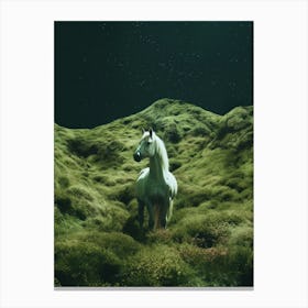 Cosmic horse portrait 1 Canvas Print