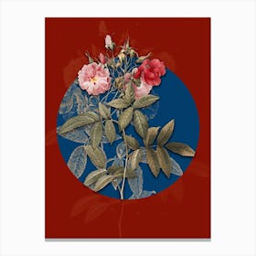 Vintage Botanical Hudson Rose on Circle Blue on Red n.0196 Canvas Print