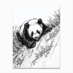 Giant Panda Cub Sliding Down A Hill Ink Illustration 4 Canvas Print